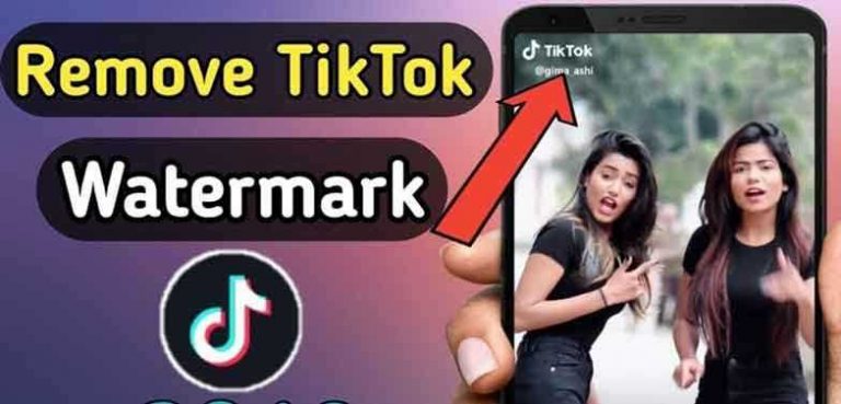 Download Video Tiktok Tanpa Watermark Tanpa Aplikasi