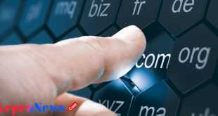 Cara Menemukan Pemilik Domain Secara Online dengan Mudah